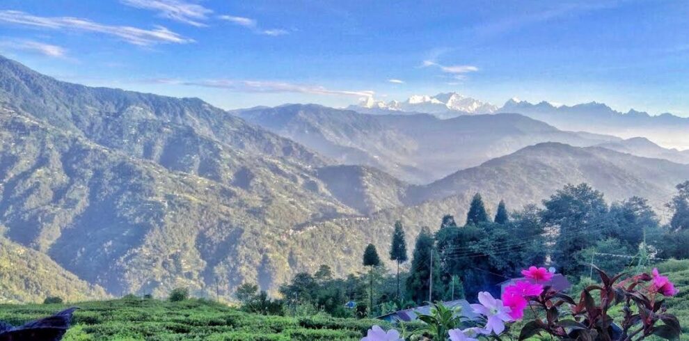 Kanchenjunga View Homestay